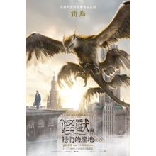 Fantastic Beasts and Where to Find Them (2016)_20 Movie Film Poster Canvas iconi