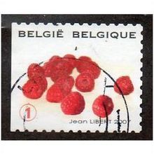 BEL 2007 (52c)(S/A) 'FRUIT- RASPBERRIES' FINE USED (EBID10407)