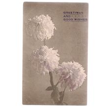 early 20th c greetings card..unused postcard by C W Faulkner & Co Ltd =