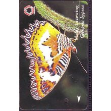 Cethosia Bypsea Malay Lacewing TransitLink Train/Bus Card