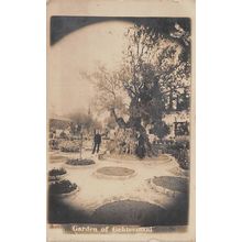 Garden of Gehtsemani : a photo-style postcard view