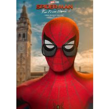 Spider-Man Far From Home 17 Poster Canvas Movie Film Print A0 A1 A2 A3 A4 A5 A6