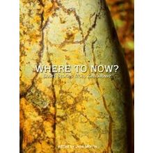Where to Now?