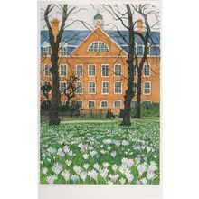 Working Mens College Mornington Crescent London Painting Postcard