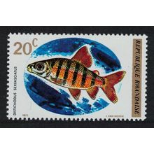 Rwanda Six-banded Distichodus Fish 1973 MNH SG#553 MI#577 Sc#541