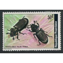 Rwanda Beetle 'Pentalobus palini' 1978 MNH SG#869 Sc#867