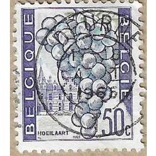 1965 - Grapes and Houses, Hoeilaart - 16742