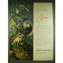 1963 Midland Bank Ad - Cock Ruffs and Bearded Tit - John Leigh Pemberton