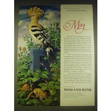 1963 Midland Bank Ad - Hoopoe and Dormouse - John Leigh Pemberton