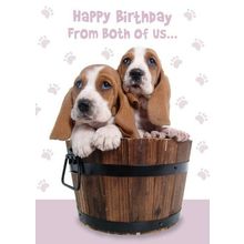 Happy Birthday From Both of Us - Greeting Card - 00748