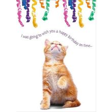 I Was Going To Wish You A Happy Birthday - Greeting Card - 00745