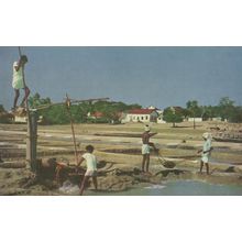 Salt Makers Of Covelong Fishing Indian Village Postcard