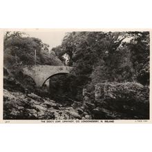 The Dog's Leaf Limavady Co Londonderry Ireland Old Postcard