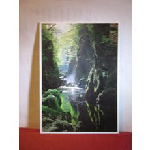 BETWS-Y-COED, THE FAIRY GLEN.. unused postcard by Dave Newbould =