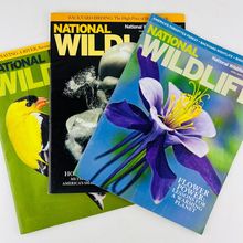 National Wildlife Magazine 2008-2009 3 Piece Lot