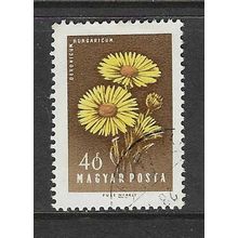 HUNGARY 1958 FLOWERS 40f SUNFLOWER USED SG1521