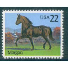 2156 22c Morgan Fine MNH JA1431