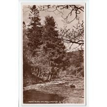 Ness Glen Dalmellington Postcard RP Ayrshire