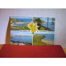 multiview, MUMBLES & GOWER, WALES. unused postcard by J. Salmon =
