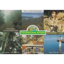 Tourism Pine Rivers Lake Samsonvale Horse Riding Rainforest Tourist Postcard