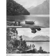 Fairy Cove Boat Lake Manapouri New Zealand 2x Antique Postcard s