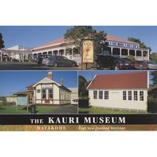 Kauri Museum Matahoke Post Office New Zealand Postcard