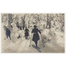 Norway Snow People cross country Skiing early 20th C. unused RPPC Mittet No. 88