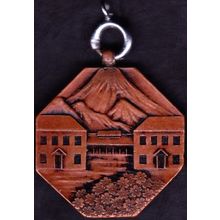 Japan Medallion Mt Fuji