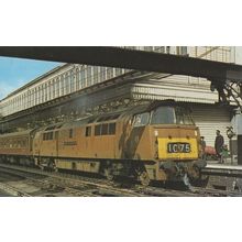 Class 52 Western D1015 Train Exeter St Davids Station Postcard