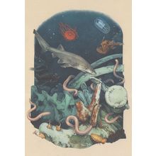 Atolla Jellyfish Bluntnose Sixgill Shark Humpback Angel Fish Painting Postcard
