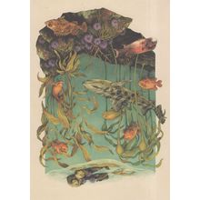 Bull Kelp Southern Sea Otter Ganbaldi Fish Leopard Shark Painting Postcard