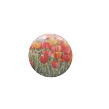Tulips[ 2.25 inch ]