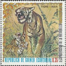 EQUATORIAL GUINEA, CAT, Tiger, Panthera tigris, brown 1976, 0.35pta