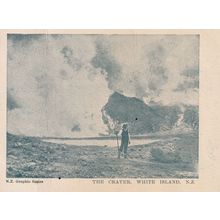 White Island Volcano Crater New Zealand Antique Postcard