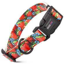 Dog Pet Strawberries Quick Release Printed Collar 1" x 15"- 23"