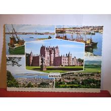 multiview, ANGUS, SCOTLAND unused postcard by Valentine dated 1971 #
