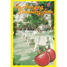 Hanging Strawberry Farm Guernsey Postcard