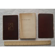1900 The life of Dante by E. H. Plumptre