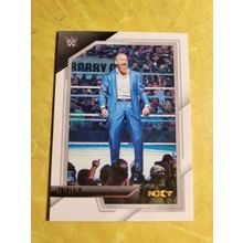 2022 NXT WWE #100 Triple H