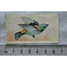 Junior Service Sweet Cigarettes card 2 Tanager, Tropical Birds