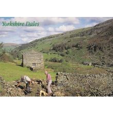 Yorkshire Workers Farming Digging Renovating Farm Wall Postcard