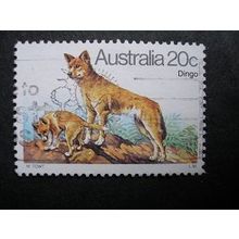 Australia 1980 - Dingo (Canis lupus dingo) - Used