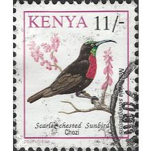 KENYA, BIRD, Scarlet-chested Sunbird, violet 1993, 11/-, #3