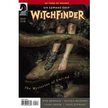Witchfinder: Mysteries of Unland (2014 Ltd) # 004 NM MODERN AGE COMICS