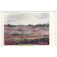 Walberswick Common Art Postcard Suffolk C W Faulkner & Co