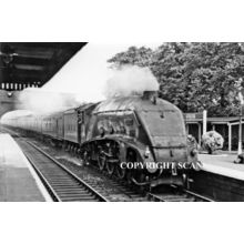 25 A4 ‘FALCON’ @ HUNTINGDON STN. 48 (4)