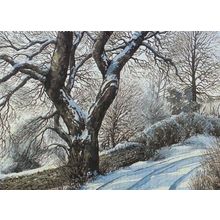 Ambleside Churchyard In Winter Christmas Snow Cumbria 1980s Postcard