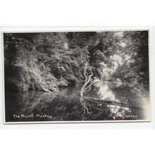 The Mount Pleshey Postcard RP Near Chelmsford Essex 76345