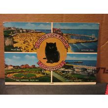 multiview, CLIFTONVILLE, MARGATE, KENT used postcard by Elgate 1984 pm kitten #