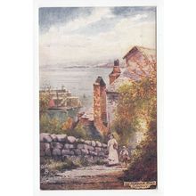 The Harbour Road Clovelly Tuck's Oilette Art Postcard Devon 7233